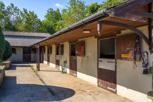 Photo 29- click for photo gallery